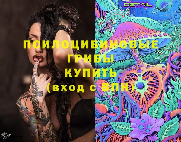 амф Абаза