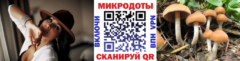 Псилоцибиновые грибы MAGIC MUSHROOMS  Лебедянь 